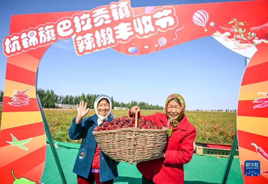 ekt币团队